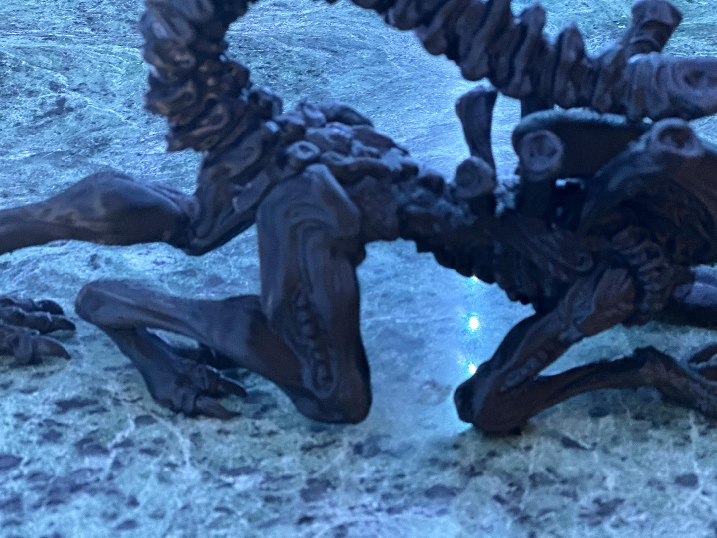 Alien Xenomorph