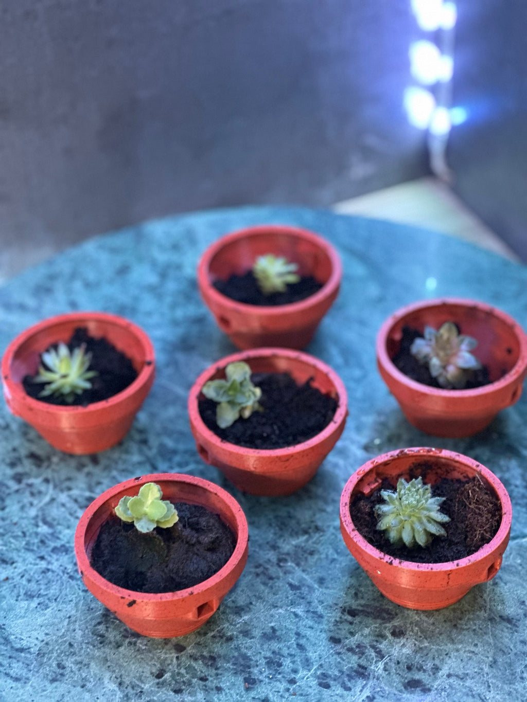 Ferris Wheel Pots (plants not included)